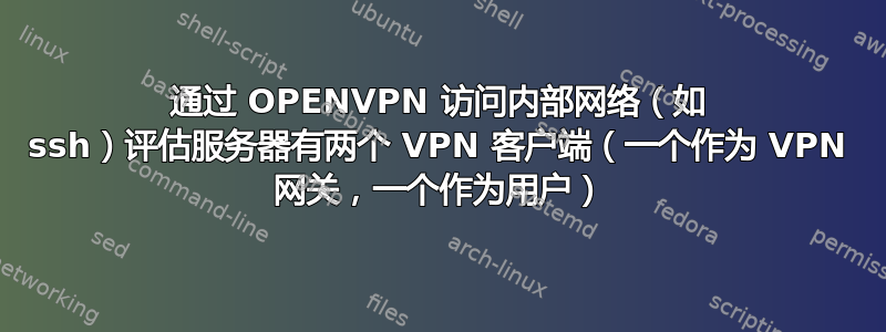 通过 OPENVPN 访问内部网络（如 ssh）评估服务器有两个 VPN 客户端（一个作为 VPN 网关，一个作为用户）