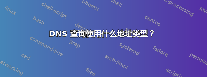 DNS 查询使用什么地址类型？