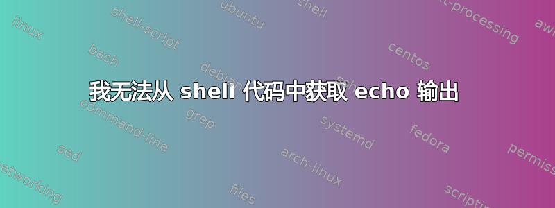 我无法从 shell 代码中获取 echo 输出