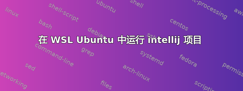 在 WSL Ubuntu 中运行 intellij 项目