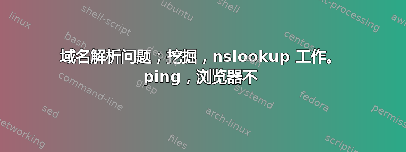 域名解析问题；挖掘，nslookup 工作。 ping，浏览器不