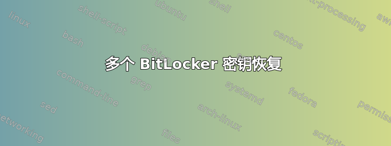 多个 BitLocker 密钥恢复