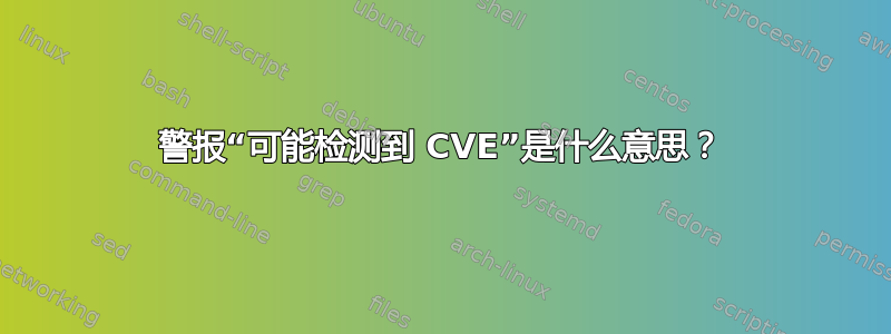 警报“可能检测到 CVE”是什么意思？