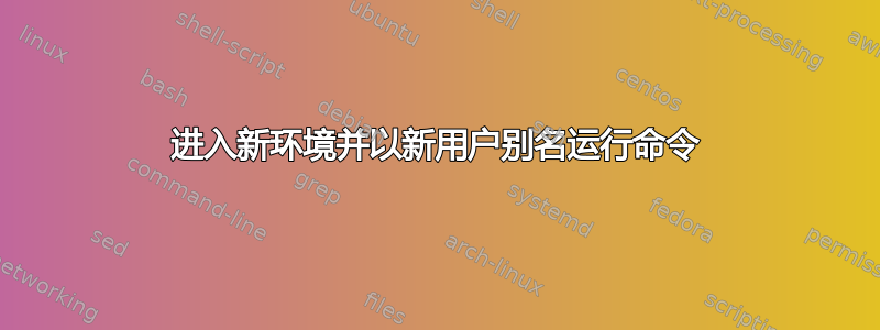 进入新环境并以新用户别名运行命令