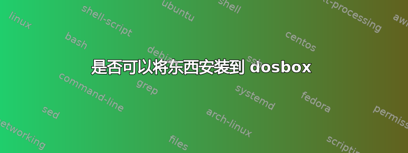 是否可以将东西安装到 dosbox