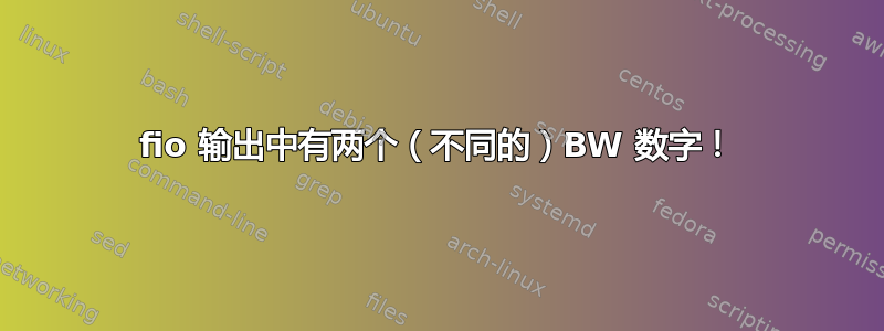 fio 输出中有两个（不同的）BW 数字！