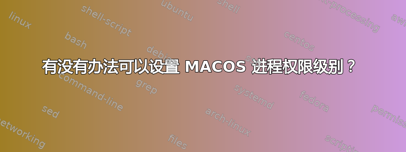 有没有办法可以设置 MACOS 进程权限级别？