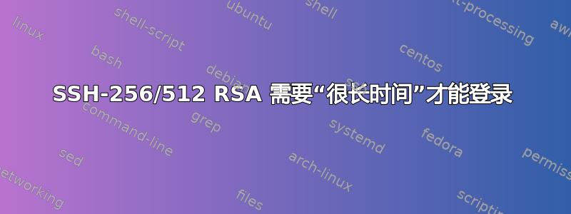 SSH-256/512 RSA 需要“很长时间”才能登录