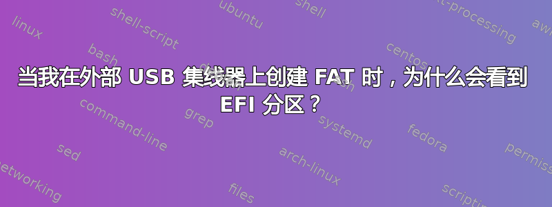 当我在外部 USB 集线器上创建 FAT 时，为什么会看到 EFI 分区？