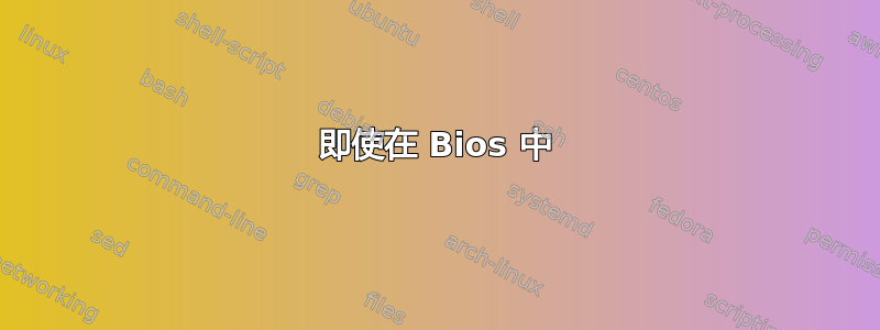 即使在 Bios 中