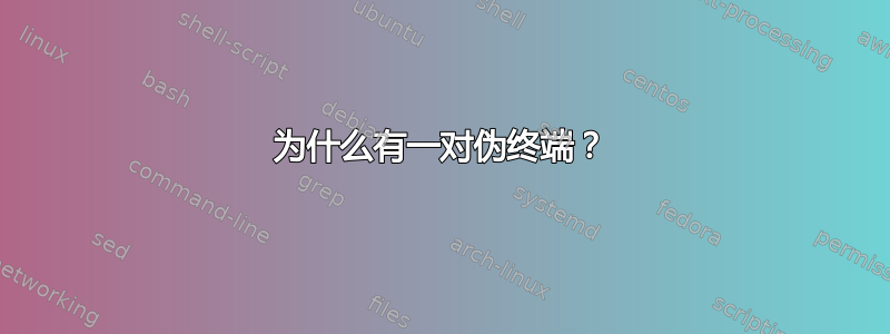 为什么有一对伪终端？