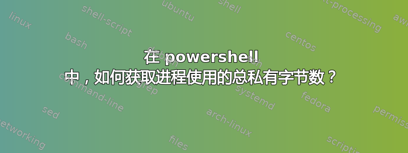 在 powershell 中，如何获取进程使用的总私有字节数？