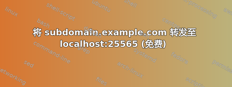 将 subdomain.example.com 转发至 localhost:25565 (免费) 