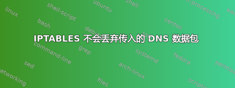 IPTABLES 不会丢弃传入的 DNS 数据包