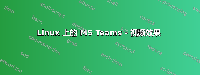 Linux 上的 MS Teams - 视频效果