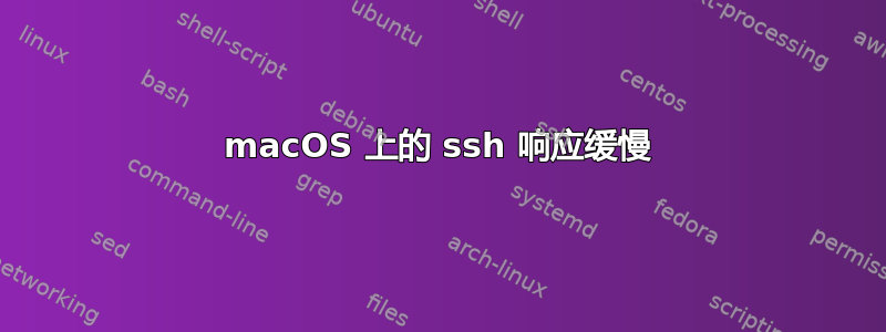 macOS 上的 ssh 响应缓慢