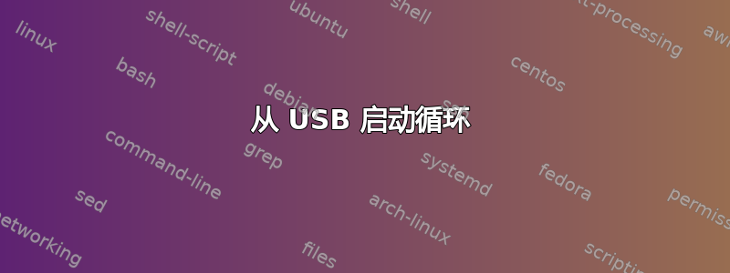 从 USB 启动循环