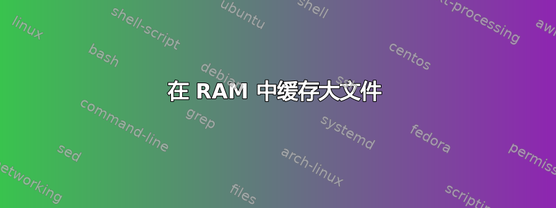 在 RAM 中缓存大文件