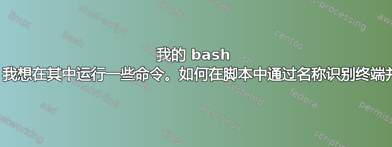 我的 bash 脚本生成一个终端，我想在其中运行一些命令。如何在脚本中通过名称识别终端并在其中运行命令？