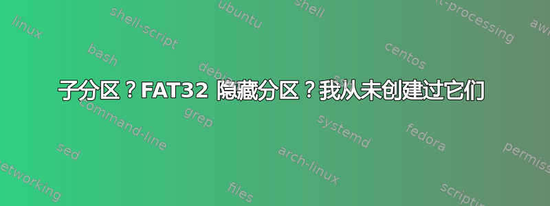 子分区？FAT32 隐藏分区？我从未创建过它们