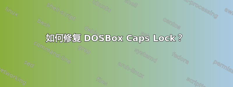 如何修复 DOSBox Caps Lock？