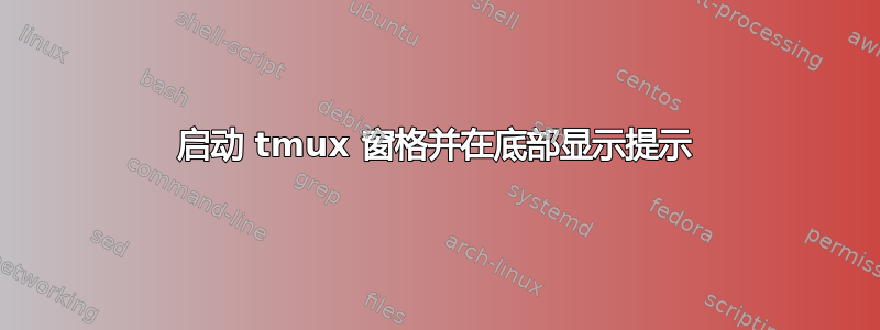 启动 tmux 窗格并在底部显示提示