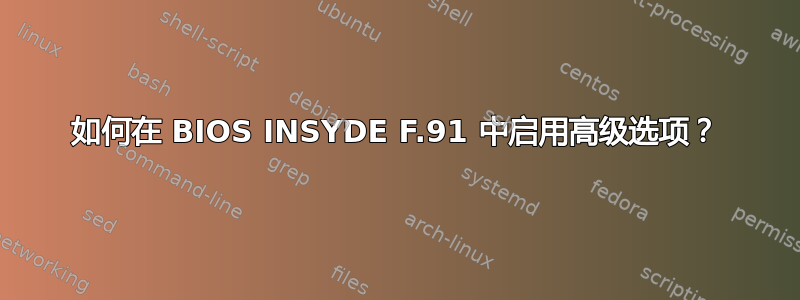 如何在 BIOS INSYDE F.91 中启用高级选项？