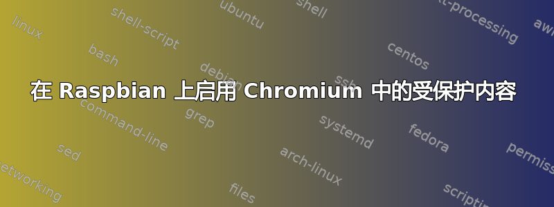 在 Raspbian 上启用 Chromium 中的受保护内容