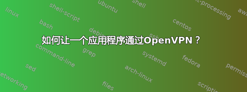 如何让一个应用程序通过OpenVPN？