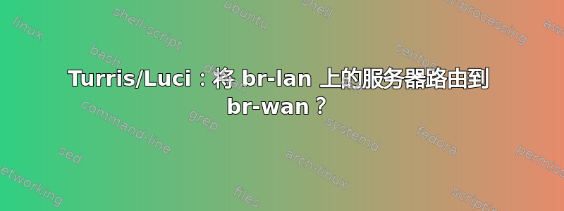 Turris/Luci：将 br-lan 上的服务器路由到 br-wan？