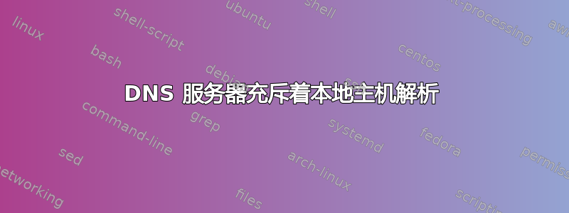 DNS 服务器充斥着本地主机解析