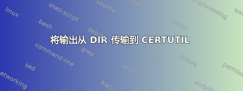 将输出从 DIR 传输到 CERTUTIL