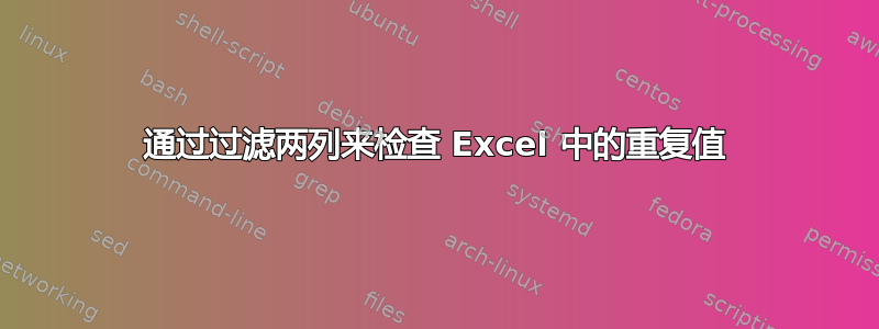 通过过滤两列来检查 Excel 中的重复值