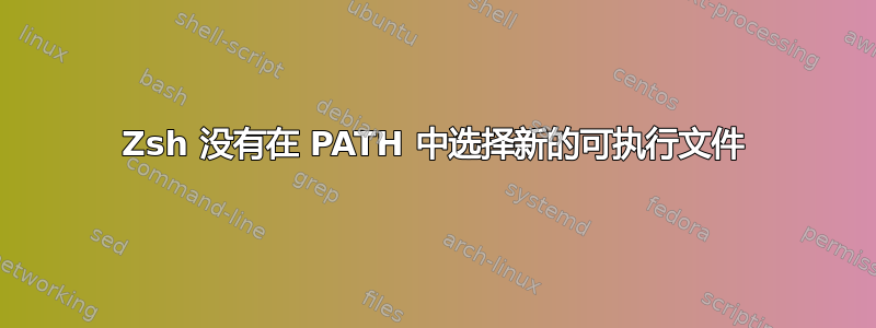 Zsh 没有在 PATH 中选择新的可执行文件