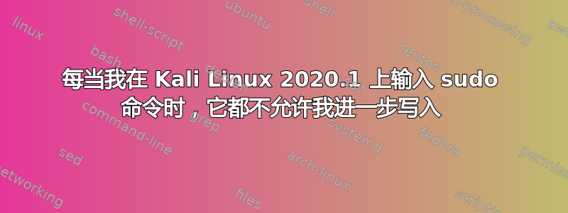 每当我在 Kali Linux 2020.1 上输入 sudo 命令时，它都不允许我进一步写入