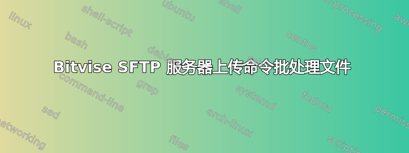 Bitvise SFTP 服务器上传命令批处理文件