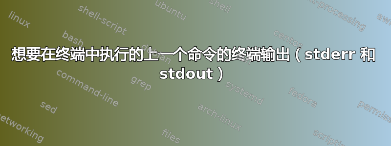 想要在终端中执行的上一个命令的终端输出（stderr 和 stdout）