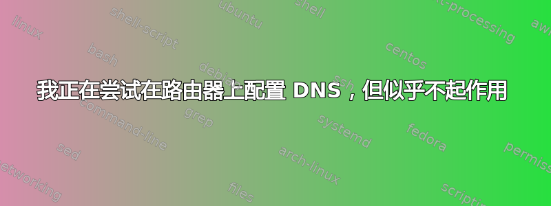 我正在尝试在路由器上配置 DNS，但似乎不起作用