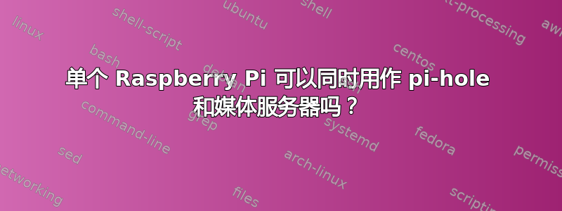 单个 Raspberry Pi 可以同时用作 pi-hole 和媒体服务器吗？