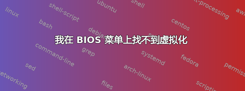 我在 BIOS 菜单上找不到虚拟化