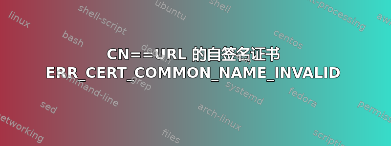 CN==URL 的自签名证书 ERR_CERT_COMMON_NAME_INVALID