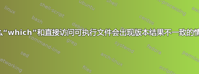 为什么“which”和直接访问可执行文件会出现版本结果不一致的情况？