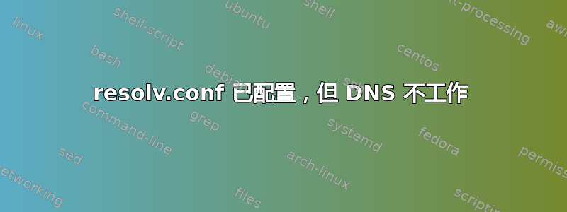 resolv.conf 已配置，但 DNS 不工作