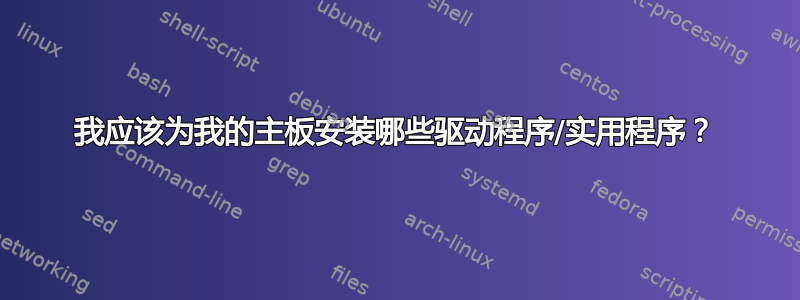 我应该为我的主板安装哪些驱动程序/实用程序？