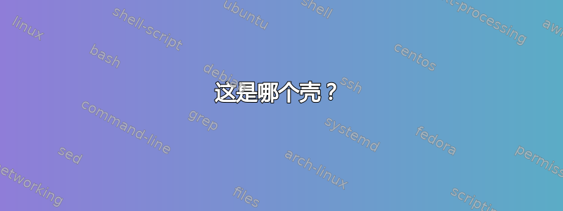 这是哪个壳？