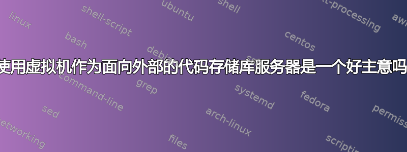 使用虚拟机作为面向外部的代码存储库服务器是一个好主意吗