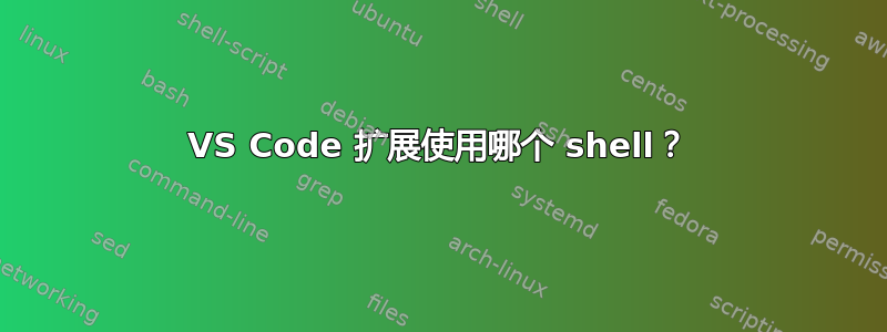 VS Code 扩展使用哪个 shell？