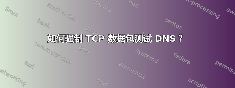 如何强制 TCP 数据包测试 DNS？