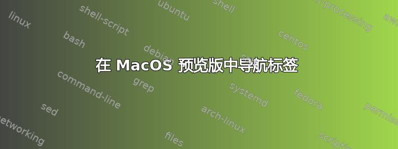 在 MacOS 预览版中导航标签