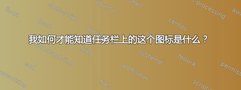 我如何才能知道任务栏上的这个图标是什么？